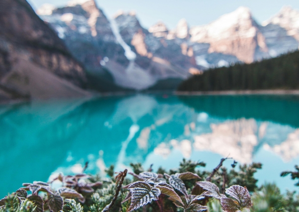 Canadá: O destino perfeito para as suas férias inesquecíveis